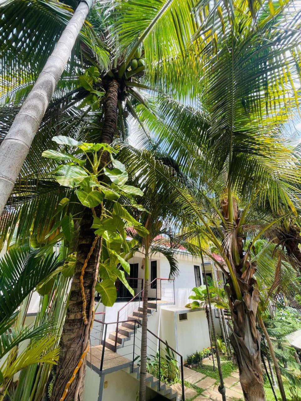 Apsara Greenland Boutique Villa & Resort Siem Reap Exterior foto